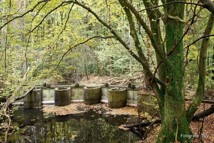 Ontdek de waterwerken in het Waterloopbos