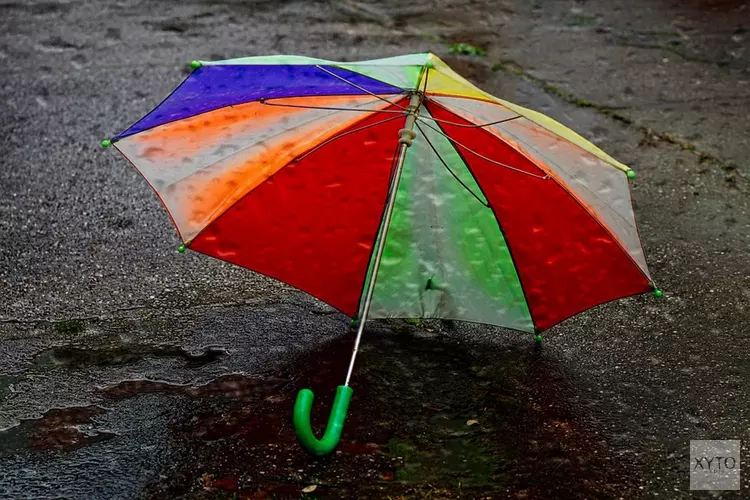 Zet je schrap: zondag gaat het flink stormen