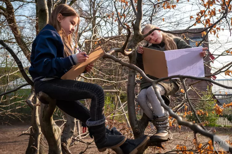 IVN Flevoland zoekt kinderdirecteuren Natuur & Duurzaamheid