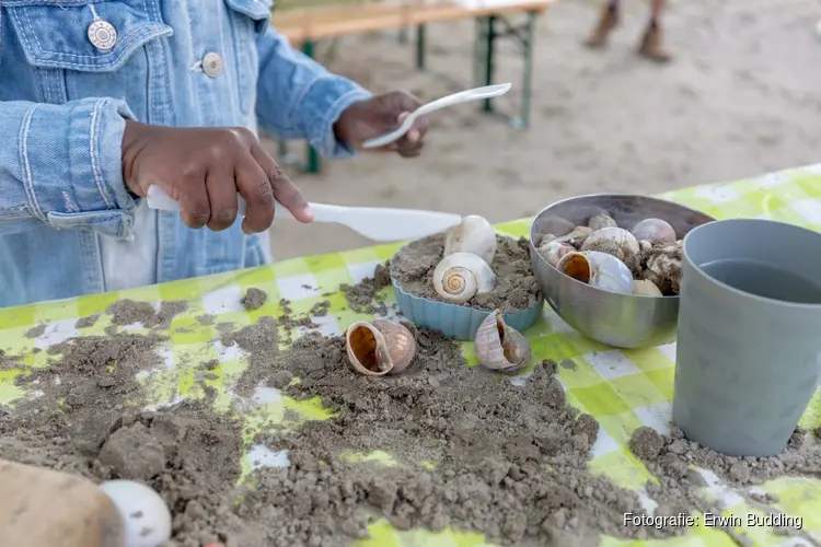 Actief van strand tot bos bij Stad & Natuur in de zomervakantie