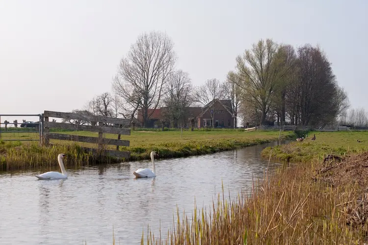 33,4 miljoen euro voor Flevolands platteland