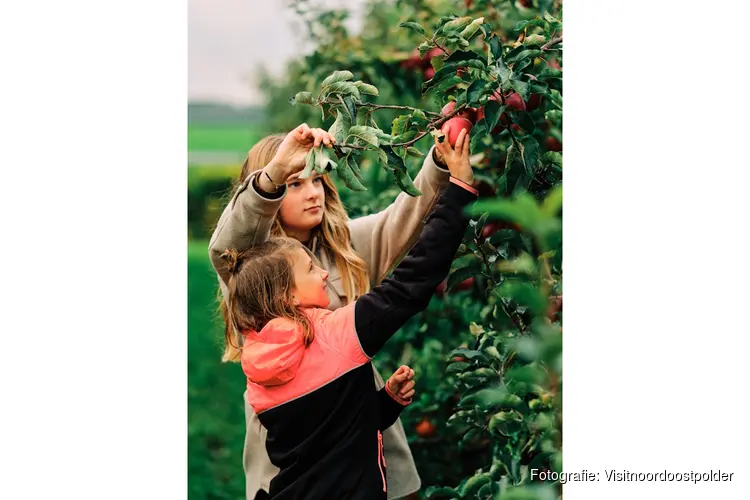 Fruitpluktuin Vink Fruitboerderij wordt officiëel geopend op woensdag 21 Augustus